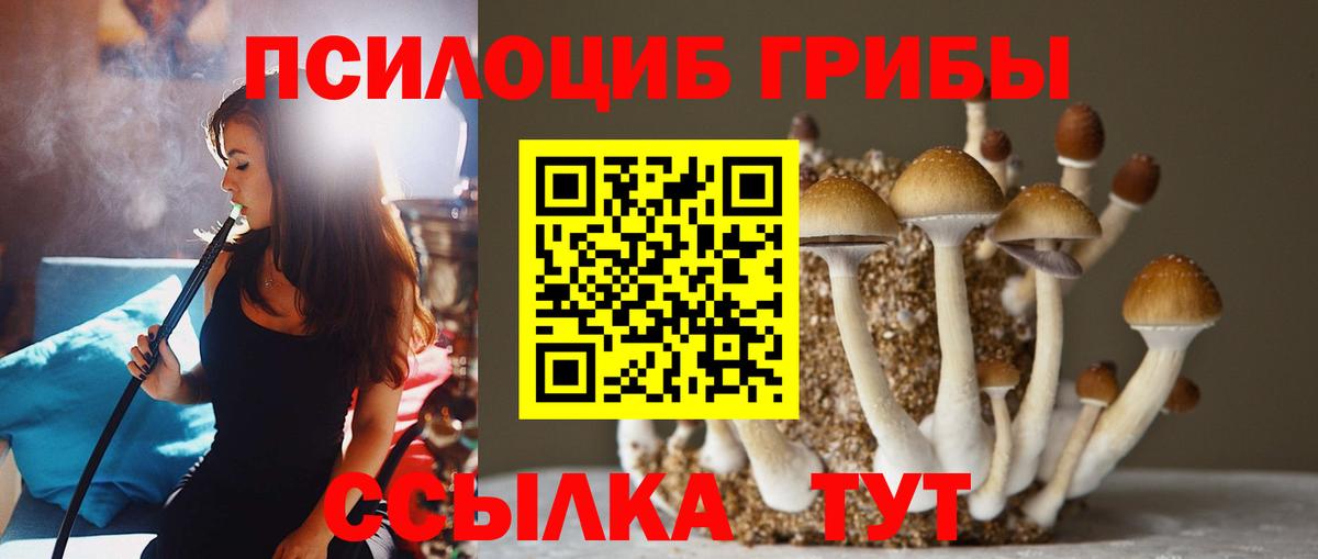 Псилоцибиновые грибы мицелий Видное